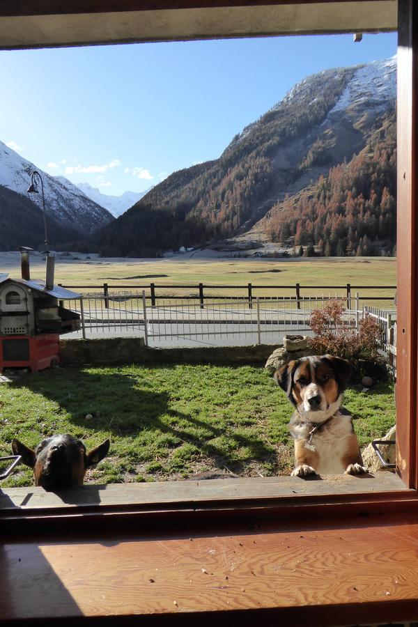 La Maison De Chouflette Apartment Cogne Luaran gambar